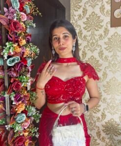 Alternative view of SCARLET RED BOLD INDO WESTERN DESIGN