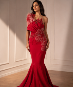 CELESTIAL DESIGNER RED DRAMATIC GOWN