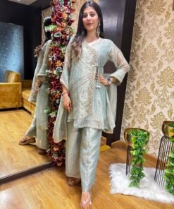 TISSUE SILK POWDER BLUE PLAZZO SET WITH ANAGARKHA STYLE TOP